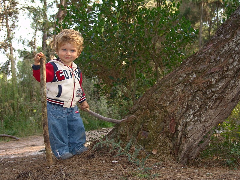 Esplorando il bosco