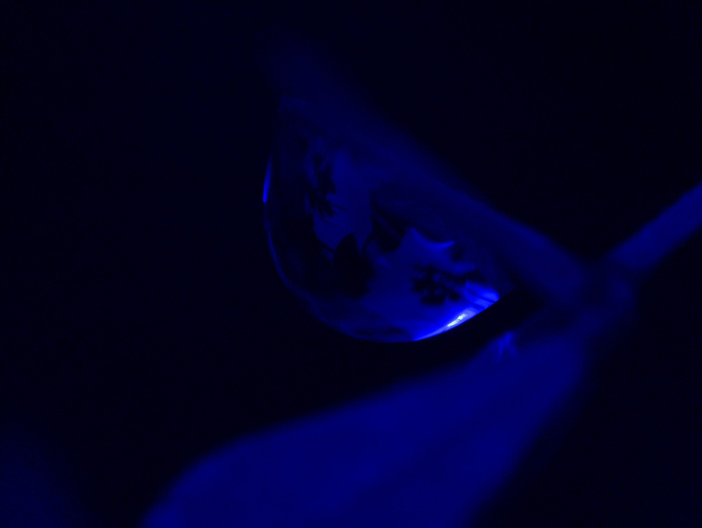 altra macro d goccia, all'avvicinarsi dell'oscurit...