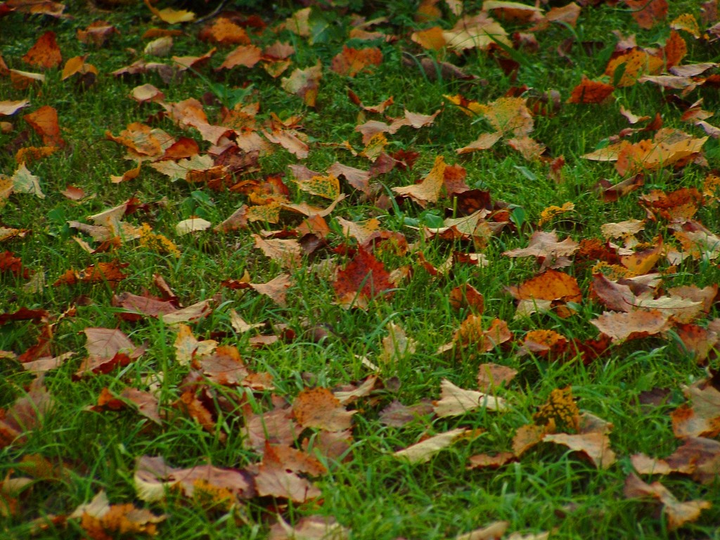 autunno