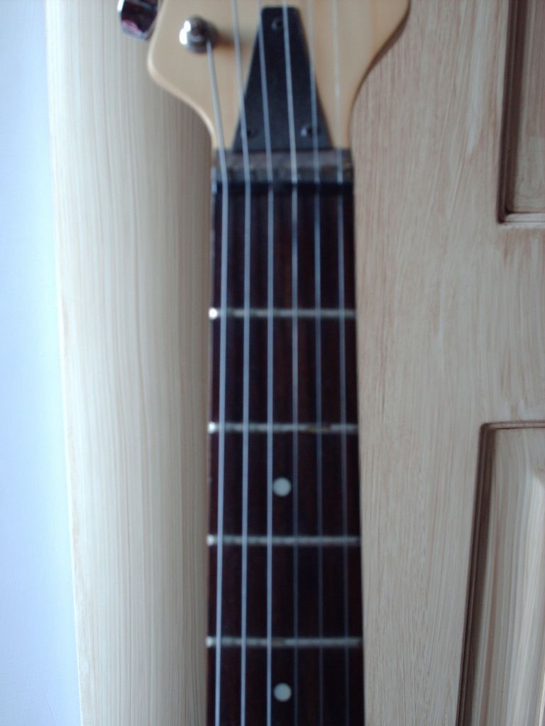 chitarra IGUANA STC 39 3