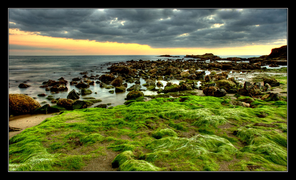 anzio  Roma