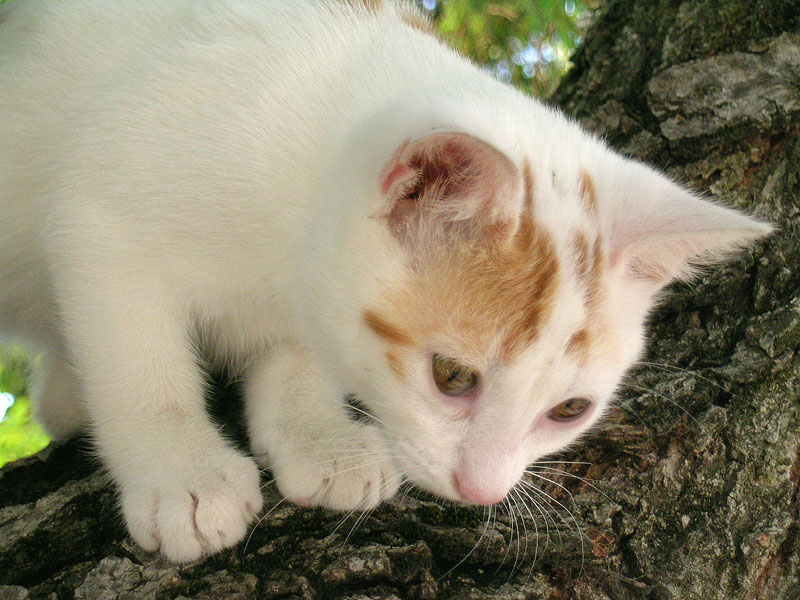 Mi butto o non mi butto?!?