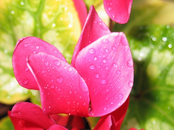 .. passato il temporale notturno..