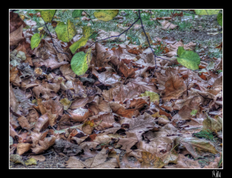prova HDR