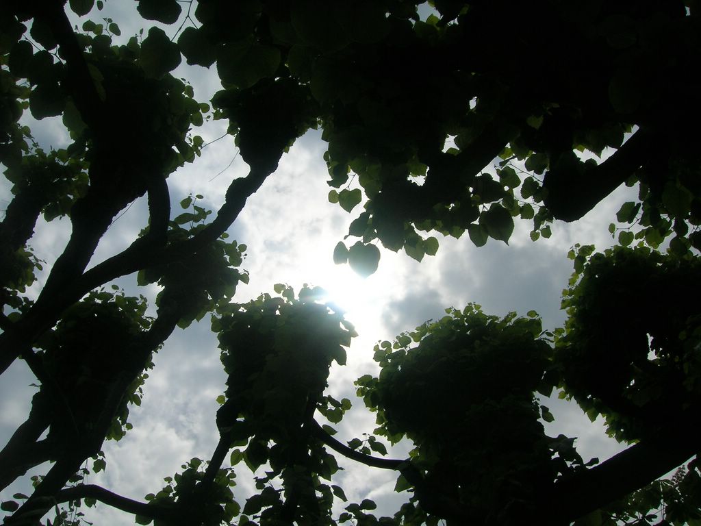 il sole