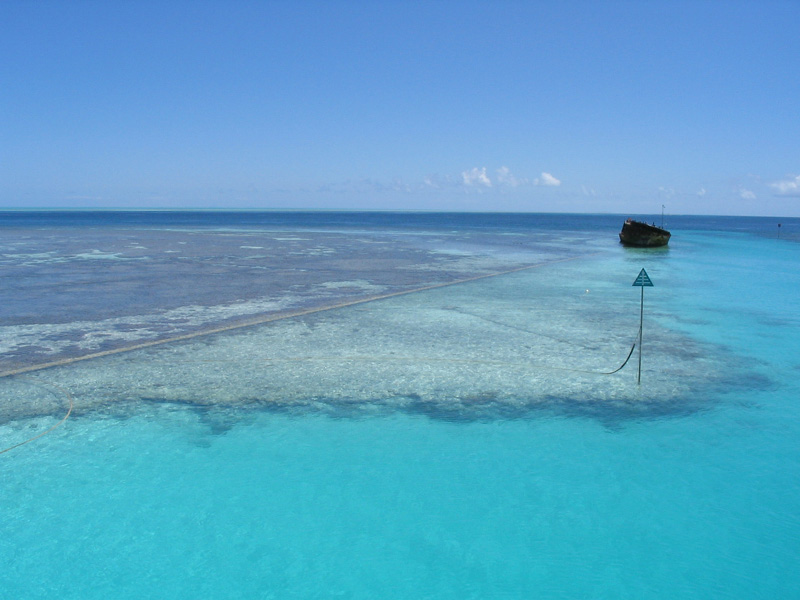 blue paradise