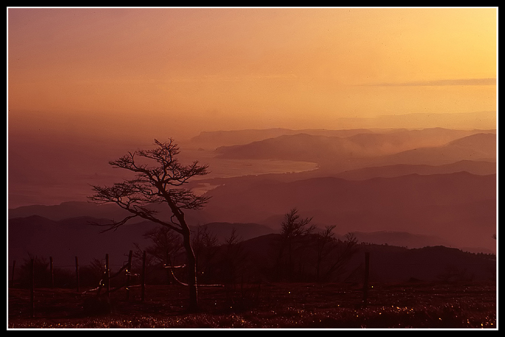 Tramonto ligure