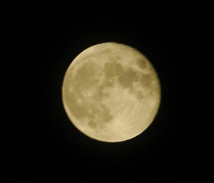 crop luna