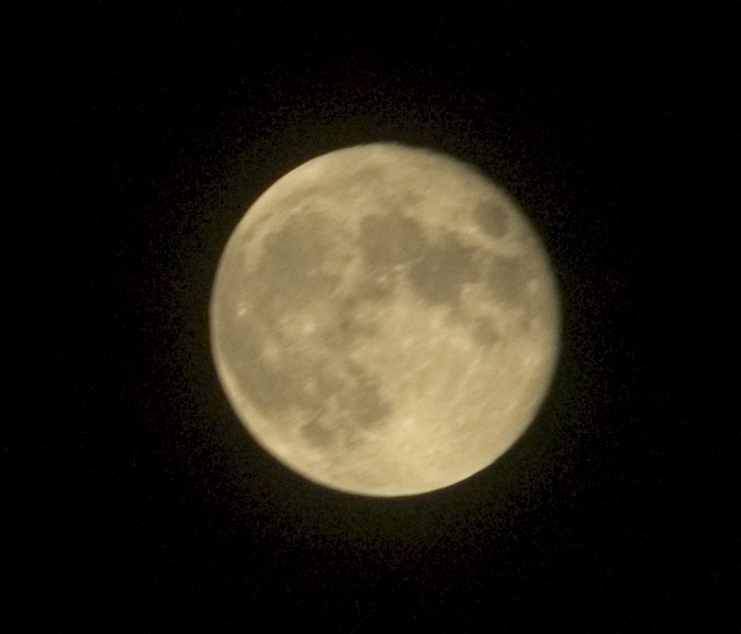 luna raw