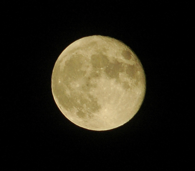 luna jpg fine