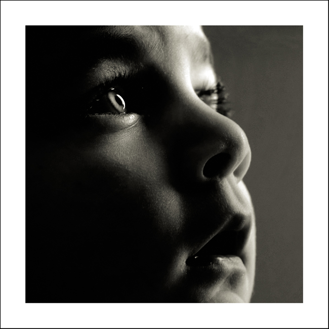 Towards the light, Study 5, Montecalvoli, 2006 (di Alex Pieroni)
