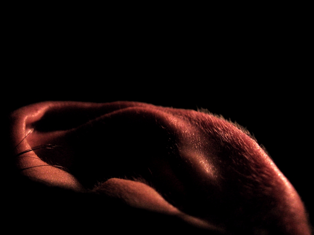 humanscape #2