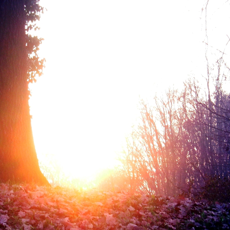 towards something