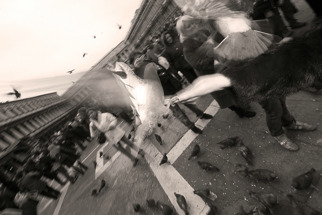 Venezia 2006
