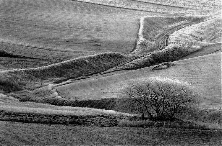 Campagna brinata