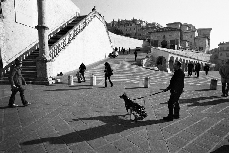 Assisi 1