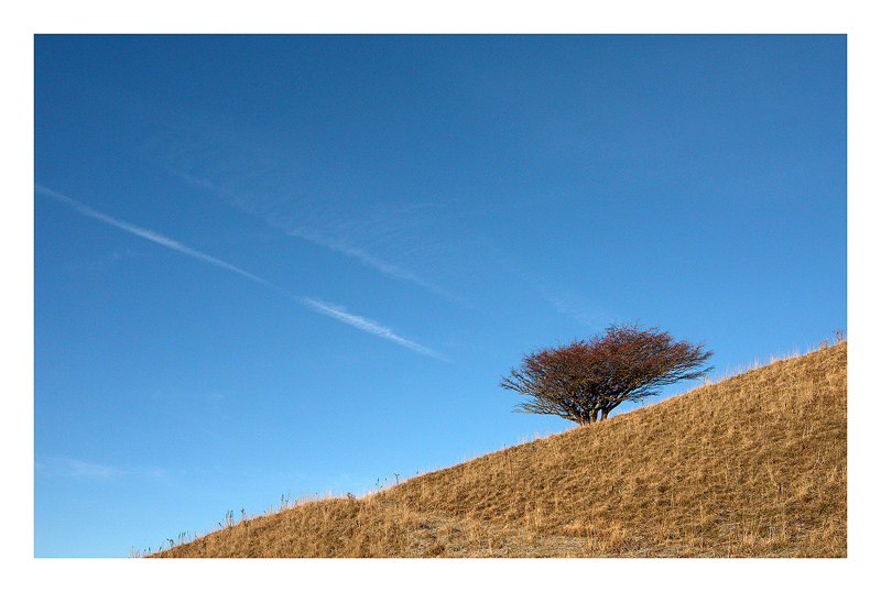 Solitario