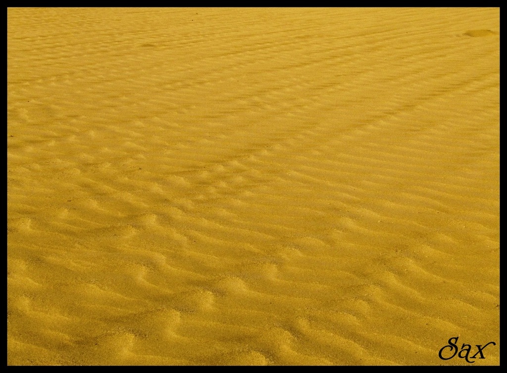 spiaggia dorata