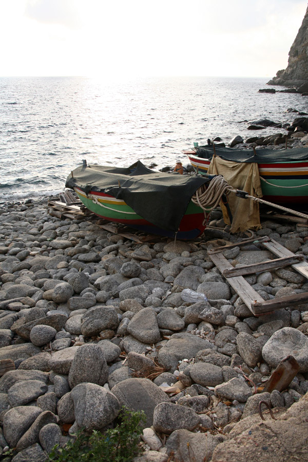 palmi costa viola