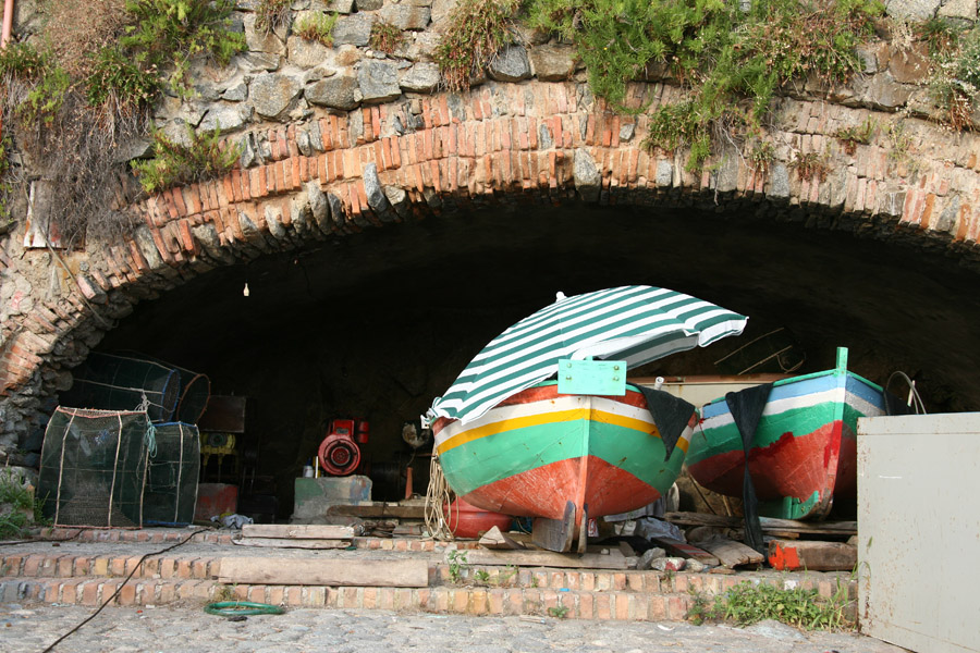palmi costa viola