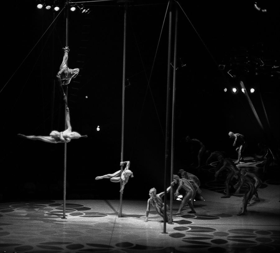Cirque du Soleil