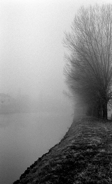 Nebbia veneta
