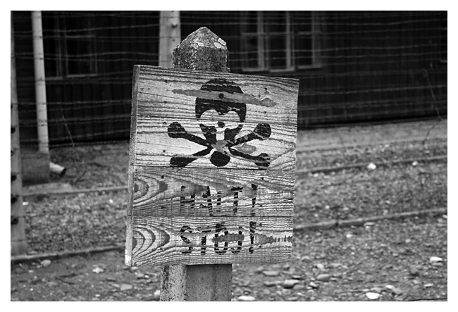 Auschwitz 3