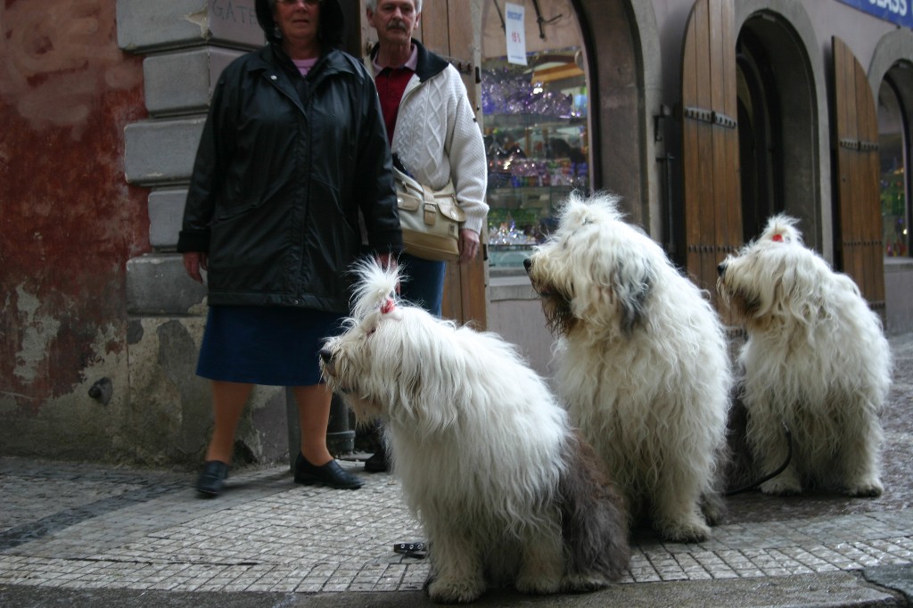 tre batuffoloni