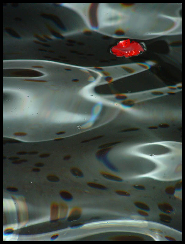 Giochi d'Acqua