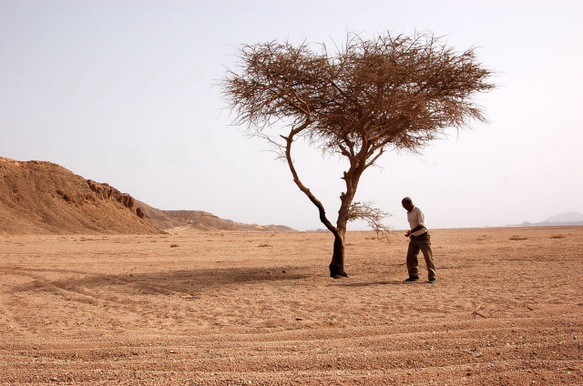 deserto