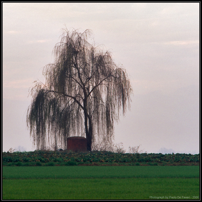 La campagna di Carmagnola #4.