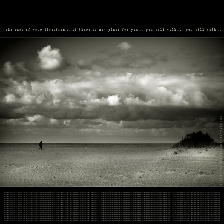 you will walk (di Michele Fois)