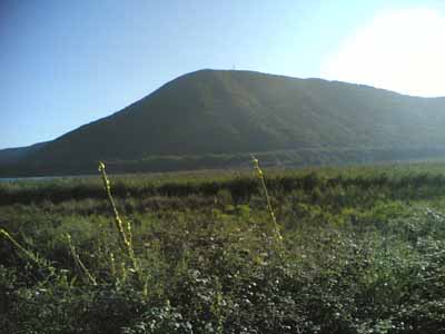 lagodivico