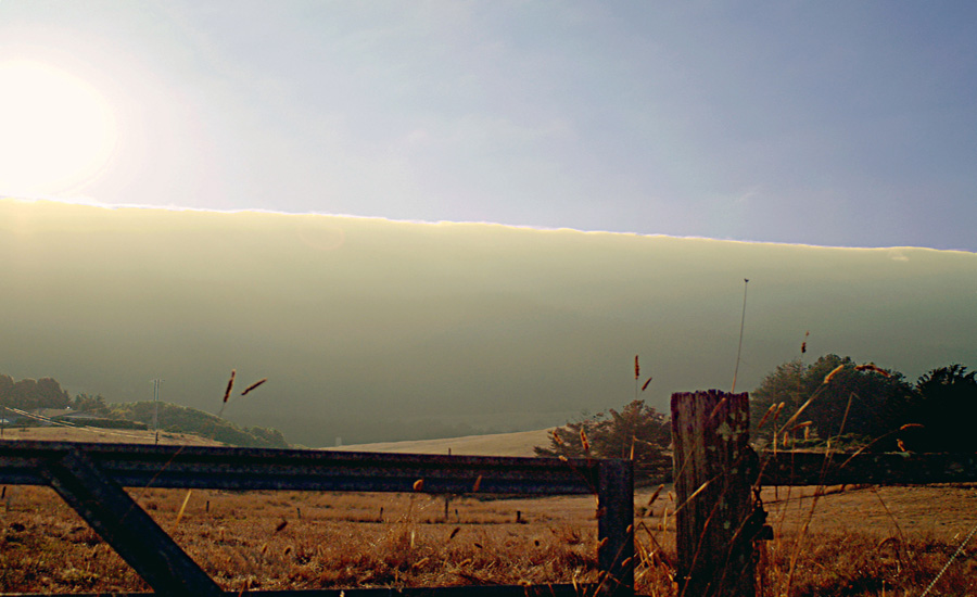 fogwall