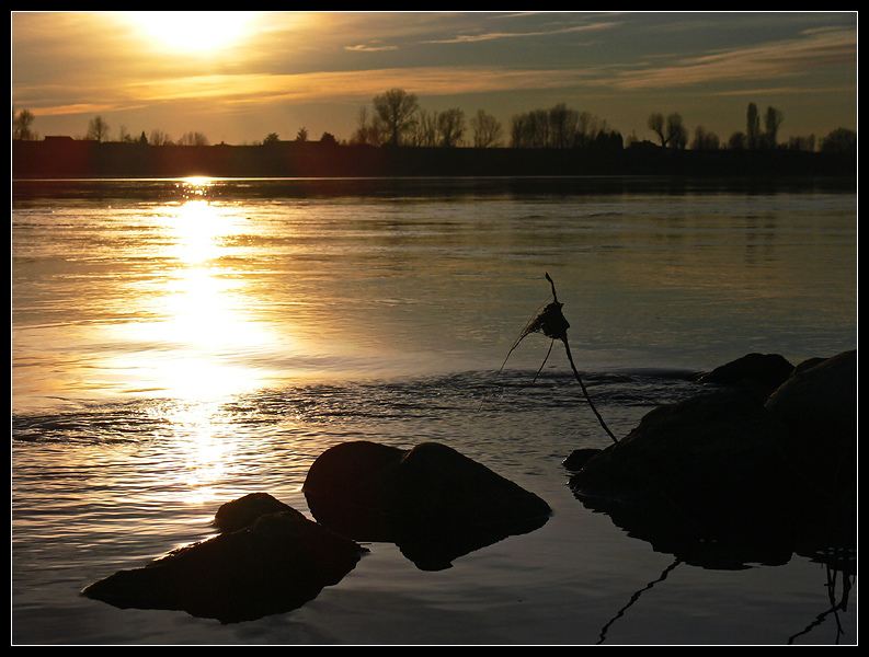 Tramonto sul Po #1