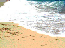 SPIAGGIA