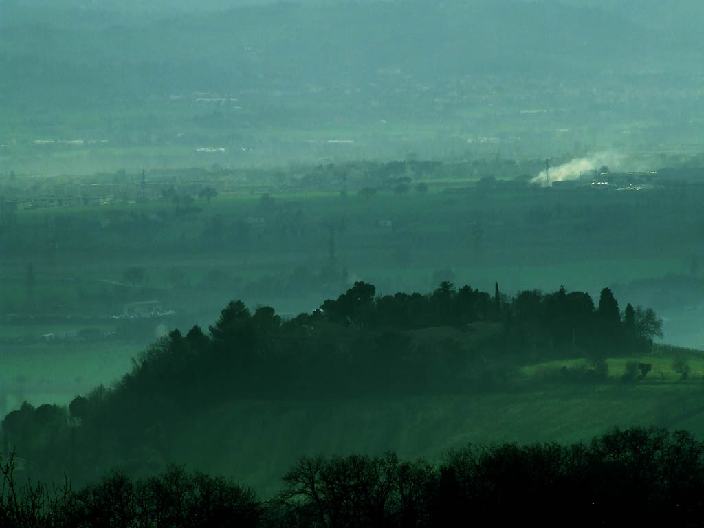 Mare di verde