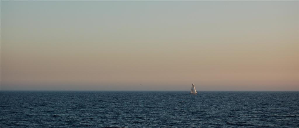 solitaria