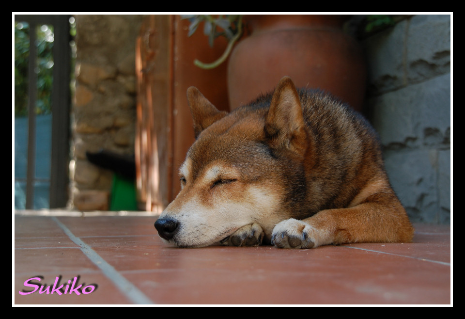 Sukiko