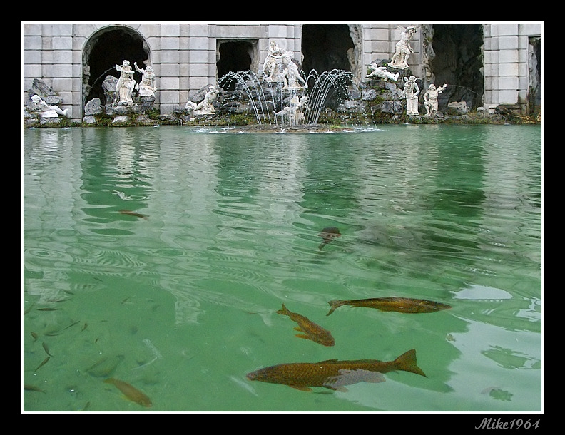 Fontana con pesci (reggia di Caserta)