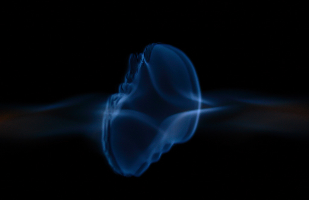 Progetto flame - Fumo di fuoco