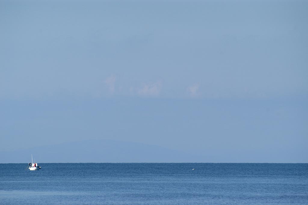 Mare