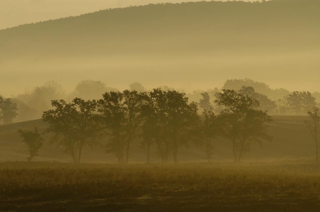 nebbia