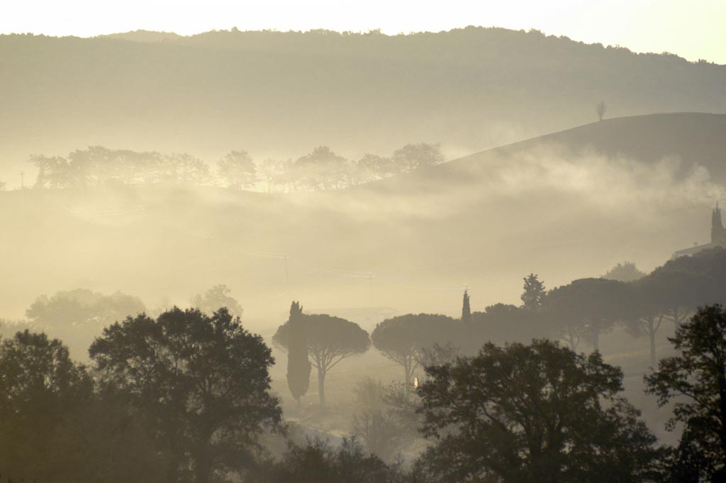 nebbia 2