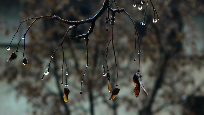 collana