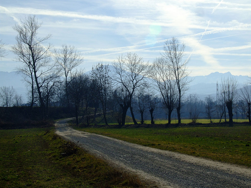 Questo strano gennaio