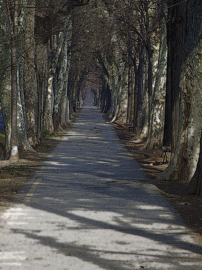Il Viale degli Angeli