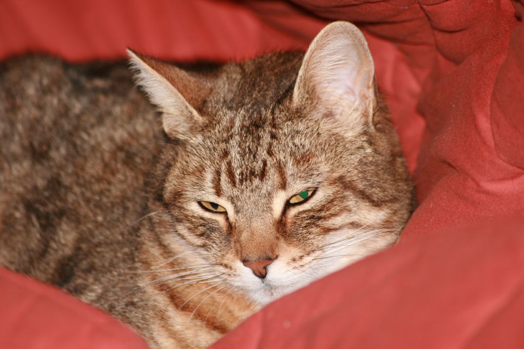 che sonno!!!!!! chi  che ........