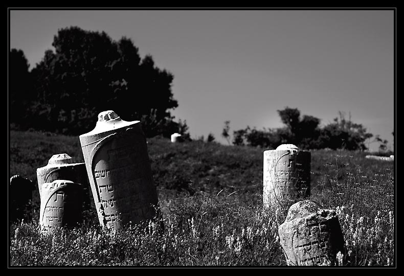 Cimitero degli Ebrei #1
