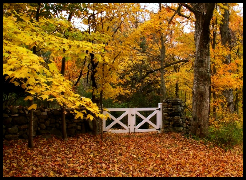The White Gate